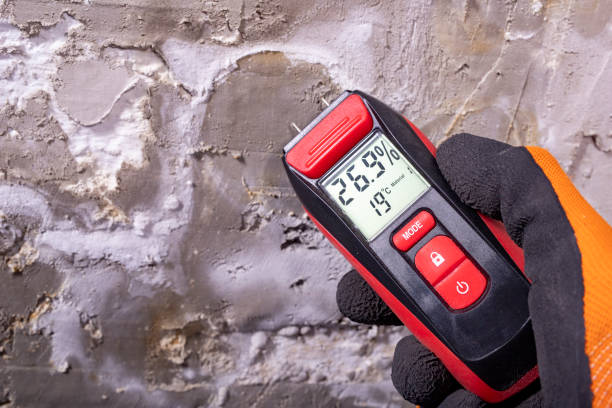 Best Industrial Mold Remediation in Lincoln, CA