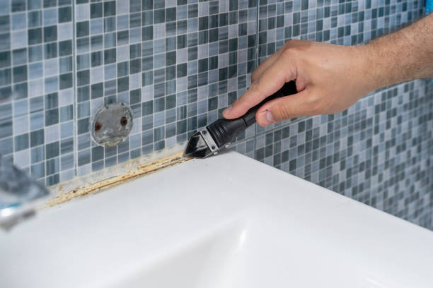 Best Mold Remediation for Specific Building Types in Lincoln, CA